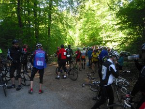 RTF Roter Fuchs Manfred 038